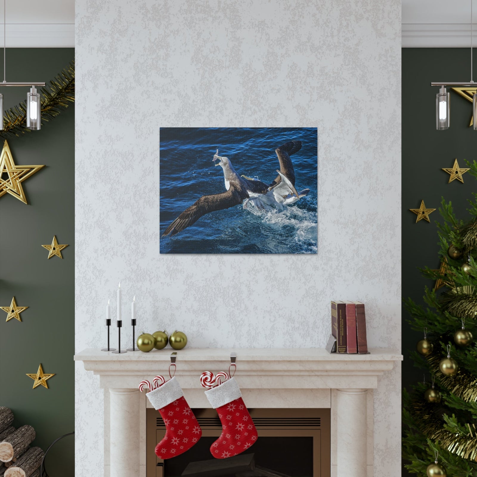 Two Albatross Fighting Over Food Canvas Gallery Wraps Unframed-Express Your Love Gifts