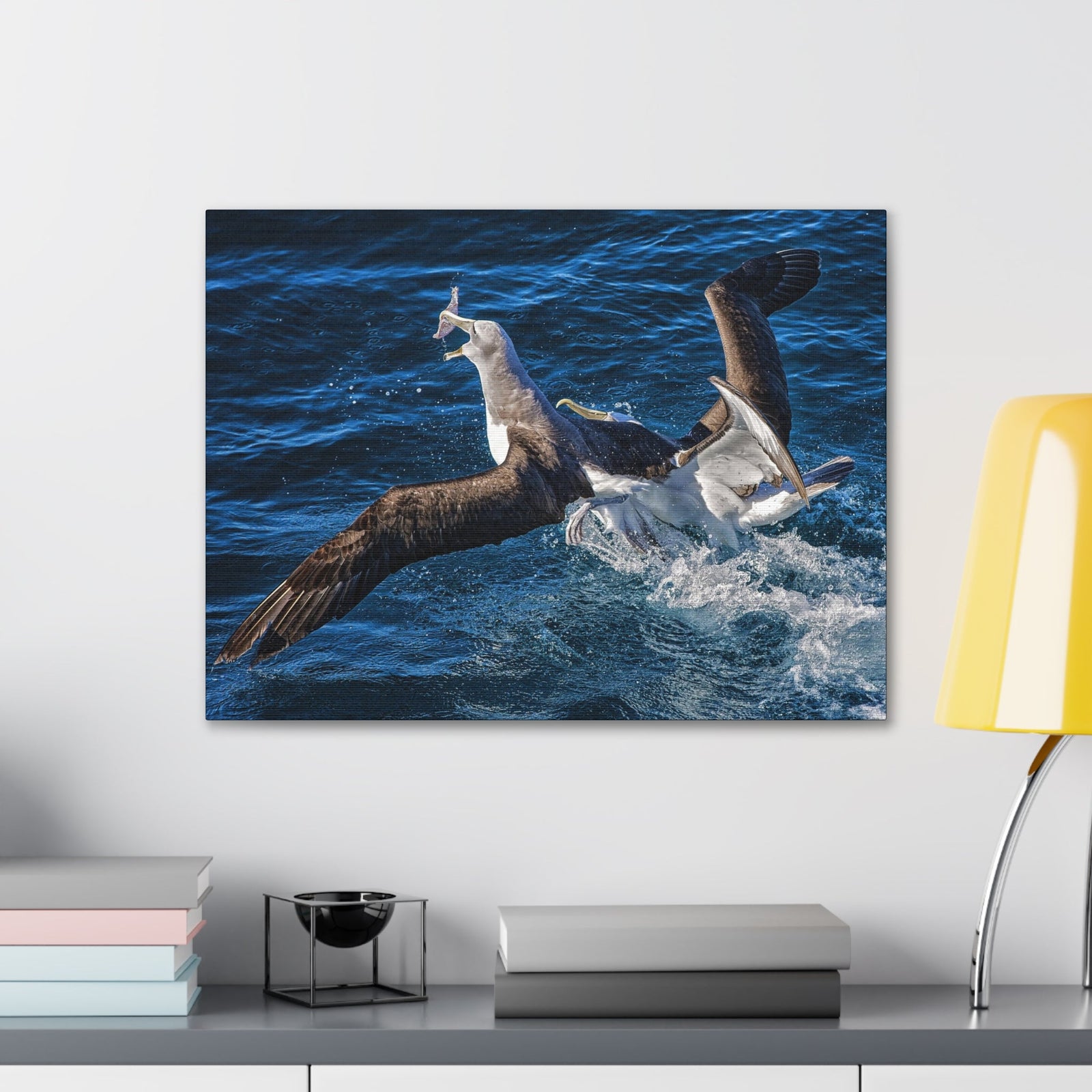 Two Albatross Fighting Over Food Canvas Gallery Wraps Unframed-Express Your Love Gifts
