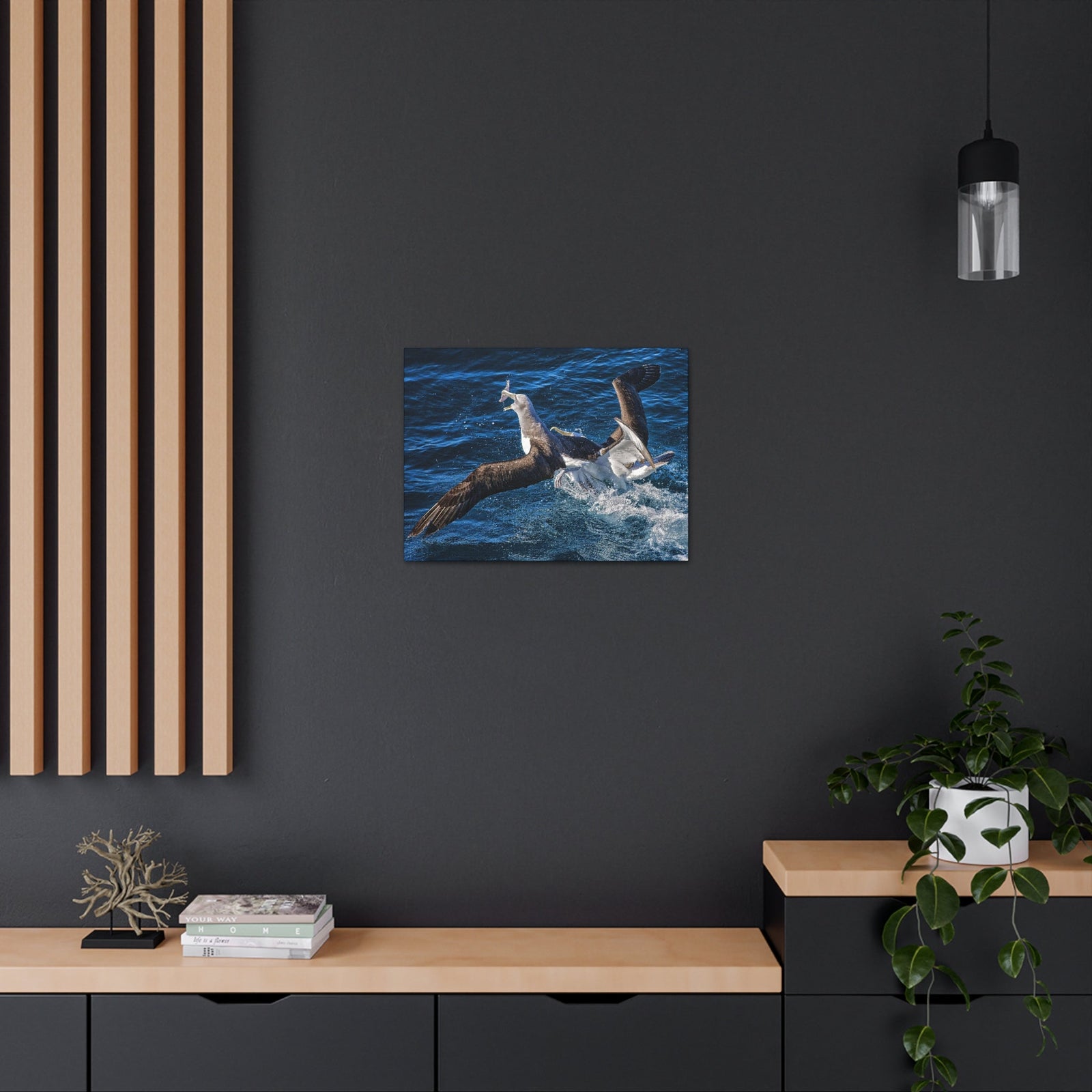 Two Albatross Fighting Over Food Canvas Gallery Wraps Unframed-Express Your Love Gifts