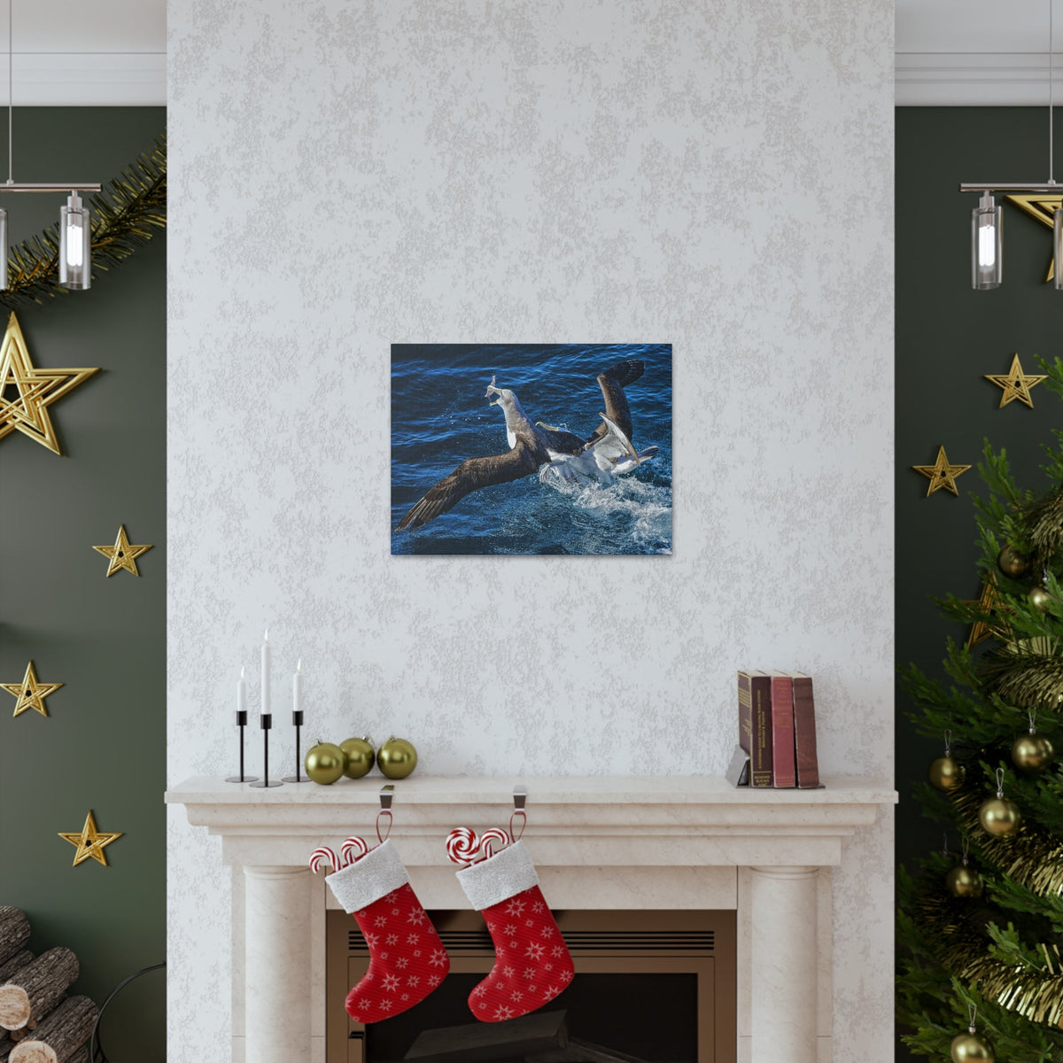 Two Albatross Fighting Over Food Canvas Gallery Wraps Unframed-Express Your Love Gifts