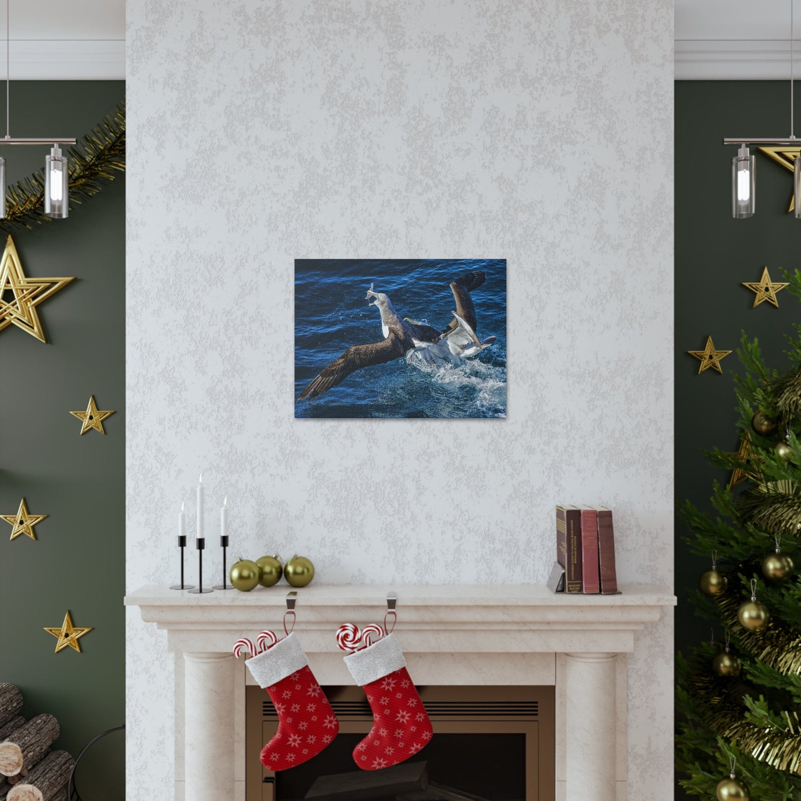 Two Albatross Fighting Over Food Canvas Gallery Wraps Unframed-Express Your Love Gifts