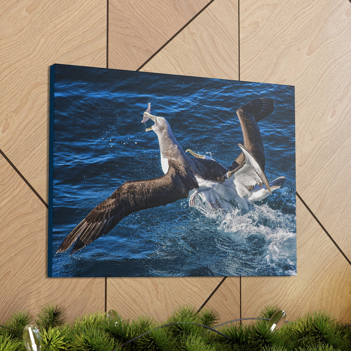 Two Albatross Fighting Over Food Canvas Gallery Wraps Unframed-Express Your Love Gifts