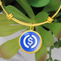 USD Coin (USDC) Bracelet Stainless Steel or 18k Gold Circle Bangle-Express Your Love Gifts