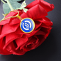 USD Coin (USDC) Circle Necklace Stainless Steel or 18k Gold 18-22"-Express Your Love Gifts