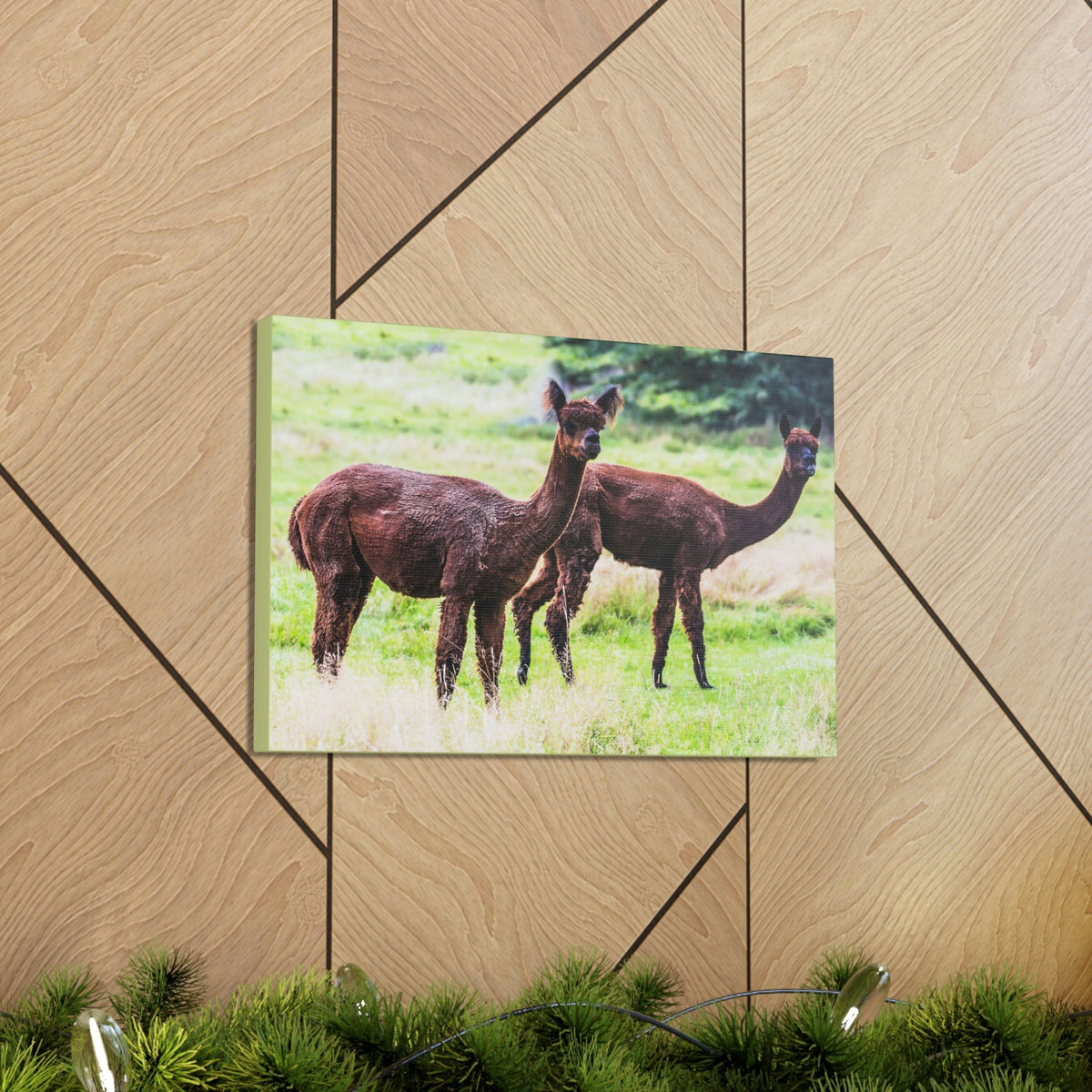 Scripture Walls Vicuna Couple Vicuna Couple Print Animal Wall Art Wildlife Canvas Prints Wall Art Ready to Hang Unframed-Express Your Love Gifts