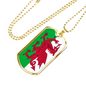 Wales Flag Necklace Stainless Steel or 18k Gold Dog Tag 24" Chain-Express Your Love Gifts