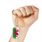Wales Flag Necklace Stainless Steel or 18k Gold Dog Tag 24" Chain-Express Your Love Gifts