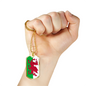 Wales Flag Necklace Stainless Steel or 18k Gold Dog Tag 24" Chain-Express Your Love Gifts