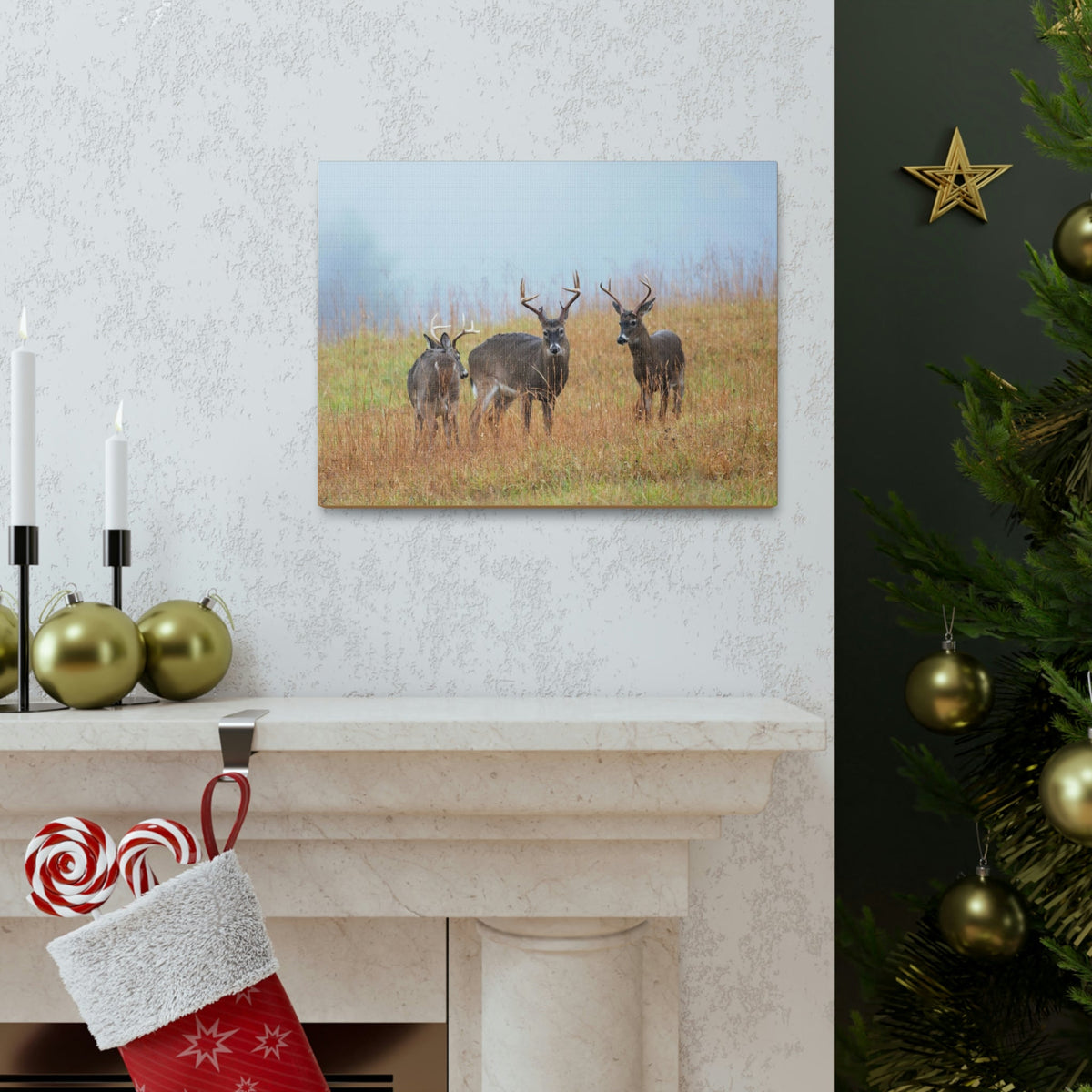 Scripture Walls White Tailed Deer Group White Tailed Deer Troop Print Animal Wall Art Wildlife Canvas Prints Wall Art Ready to Hang Unframed-Express Your Love Gifts