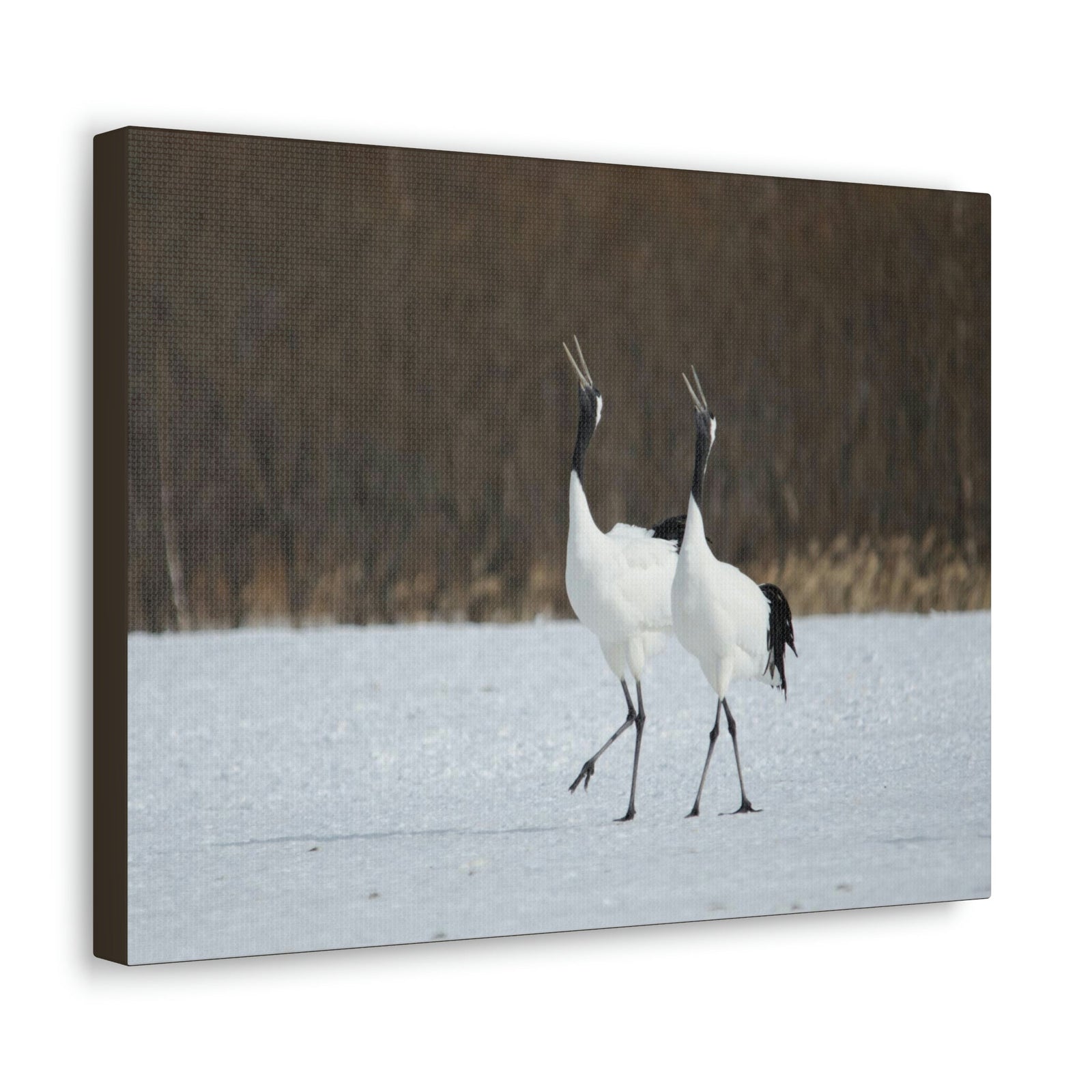 Scripture Walls Whooping Crane Couple Whooping Crane Couple Print Animal Wall Art Wildlife Canvas Prints Wall Art Ready to Hang Unframed-Express Your Love Gifts