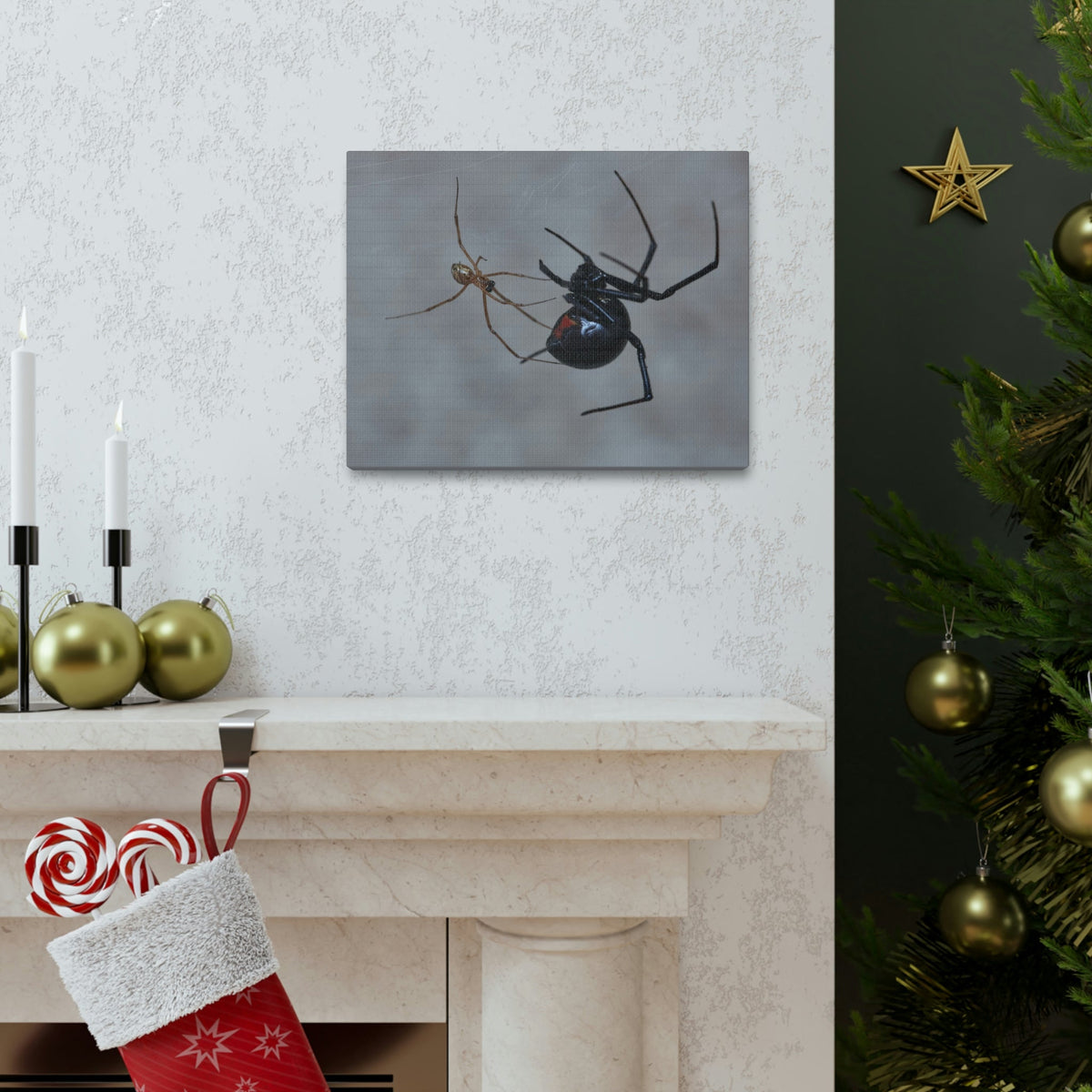 Scripture Walls Widow Spider Couple Widow Spider Couple Print Animal Wall Art Wildlife Canvas Prints Wall Art Ready to Hang Unframed-Express Your Love Gifts