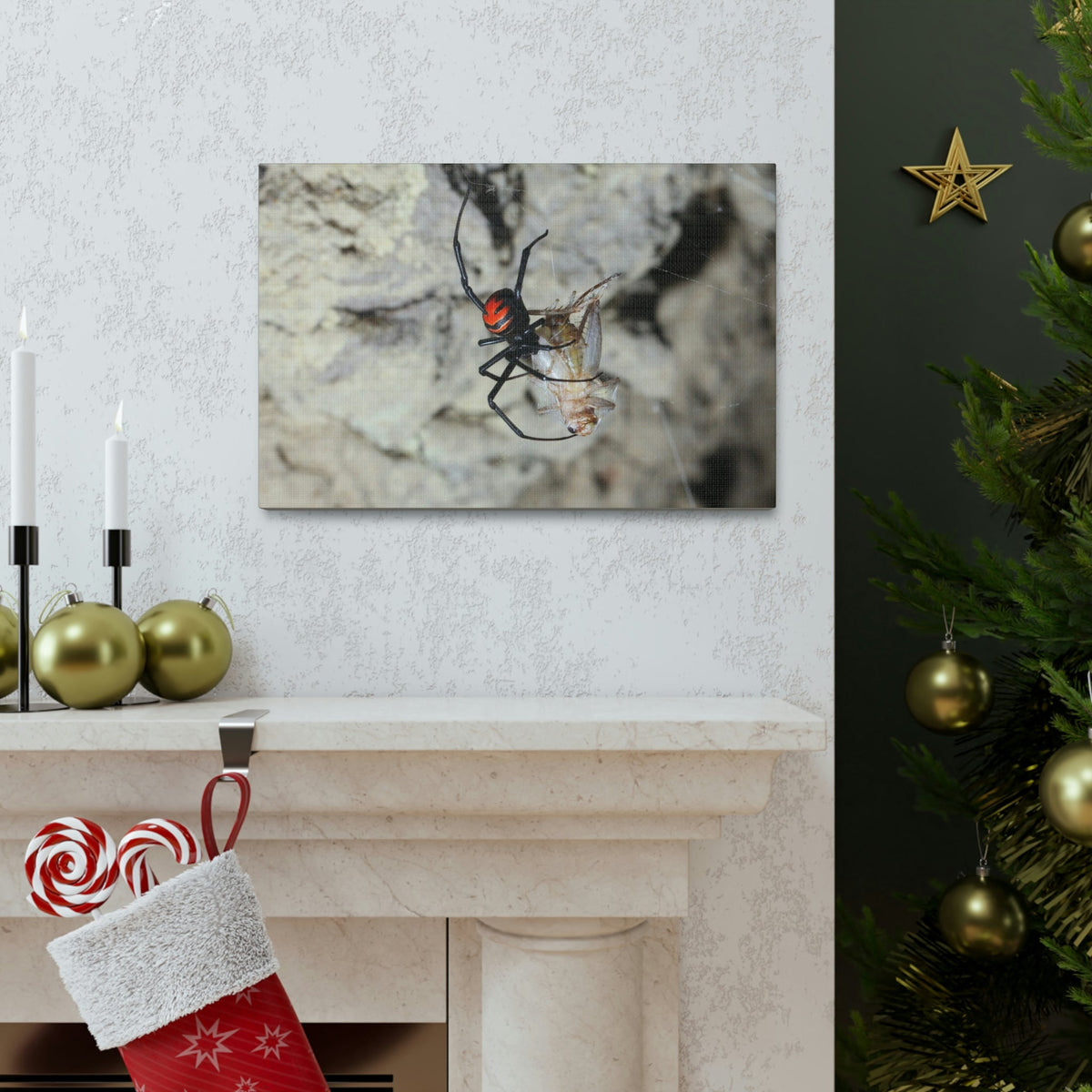 Scripture Walls Widow Spider Hunting Widow Spider on Hunt Print Animal Wall Art Wildlife Canvas Prints Wall Art Ready to Hang Unframed-Express Your Love Gifts