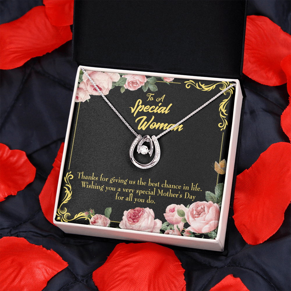 Wishing You Special Mother's Day Lucky Horseshoe Necklace Message Card 14k w CZ Crystals-Express Your Love Gifts
