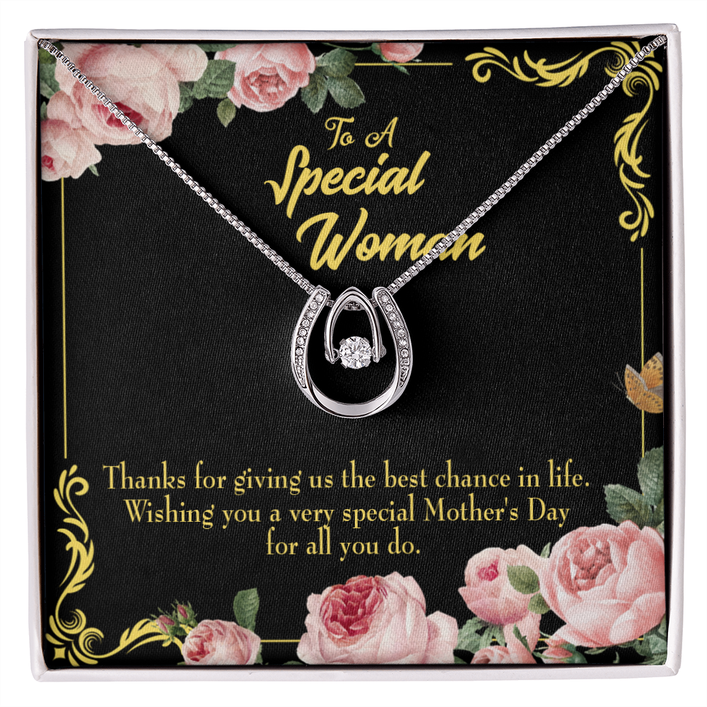 Wishing You Special Mother's Day Lucky Horseshoe Necklace Message Card 14k w CZ Crystals-Express Your Love Gifts