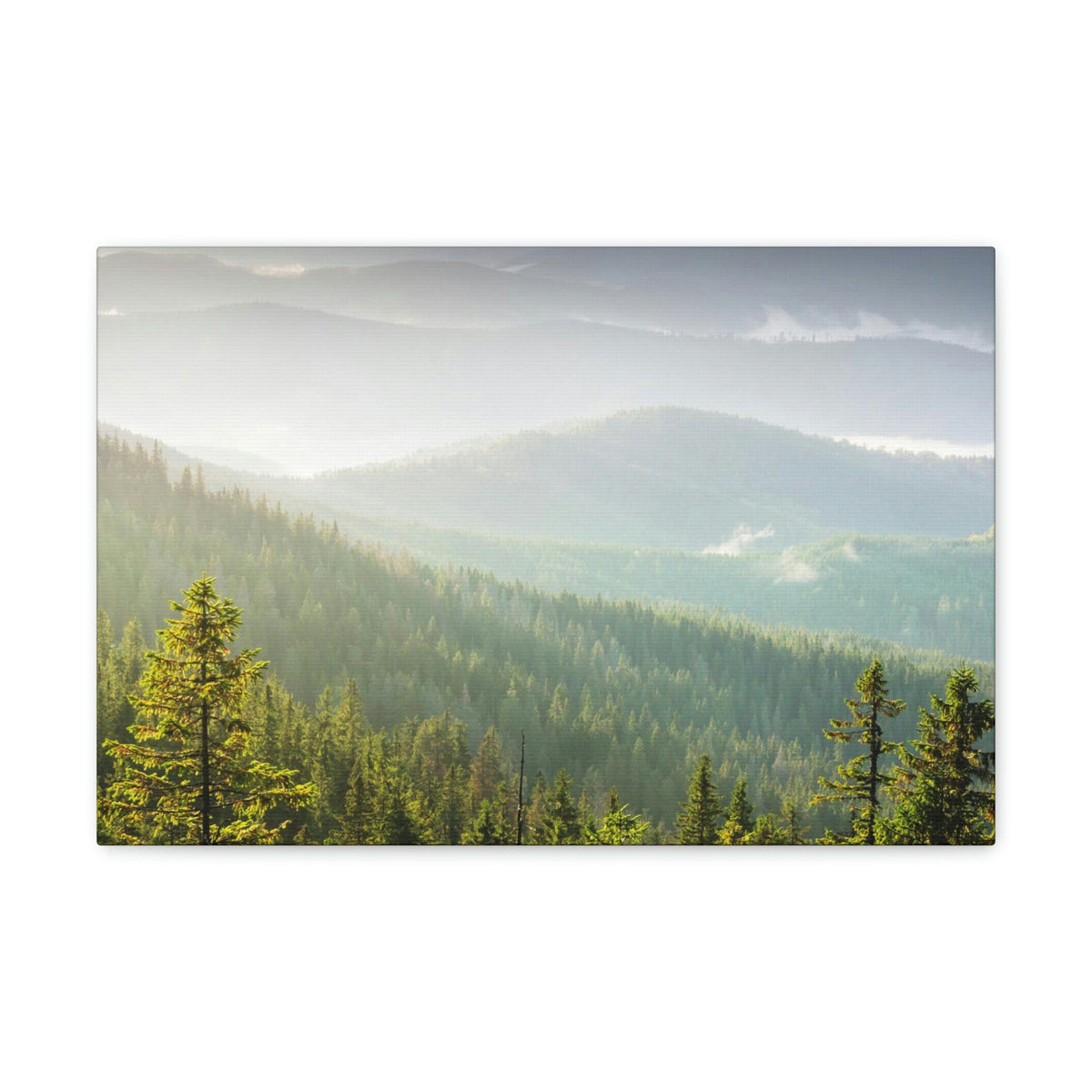 Wonderful Trees on the Mountains Scene Beautiful Spectacular and Awesome Beauty Nature Scene Big Trees and Mountain Range Wall Art Ready to Hang Unframed-Express Your Love Gifts