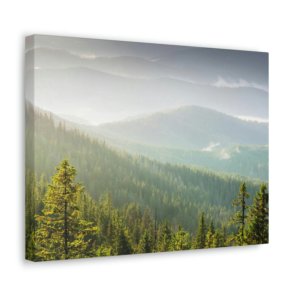Wonderful Trees on the Mountains Scene Beautiful Spectacular and Awesome Beauty Nature Scene Big Trees and Mountain Range Wall Art Ready to Hang Unframed-Express Your Love Gifts