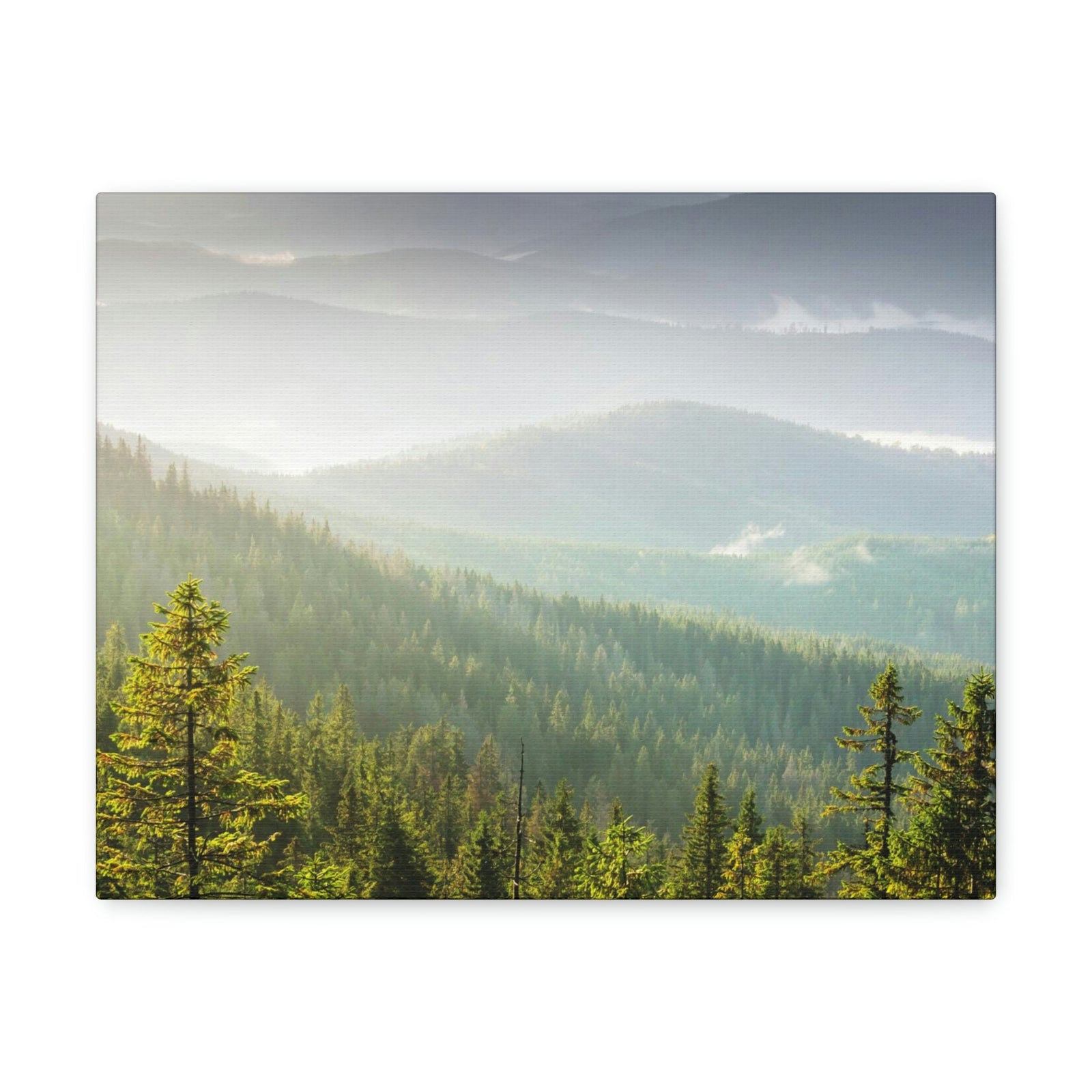 Wonderful Trees on the Mountains Scene Beautiful Spectacular and Awesome Beauty Nature Scene Big Trees and Mountain Range Wall Art Ready to Hang Unframed-Express Your Love Gifts