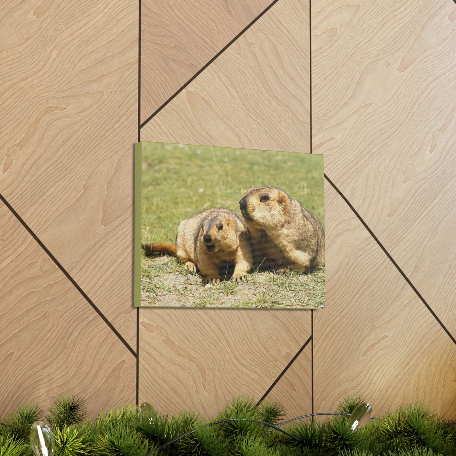 Scripture Walls Woodchuck Couple Woodchuck Couple Print Animal Wall Art Wildlife Canvas Prints Wall Art Ready to Hang Unframed-Express Your Love Gifts