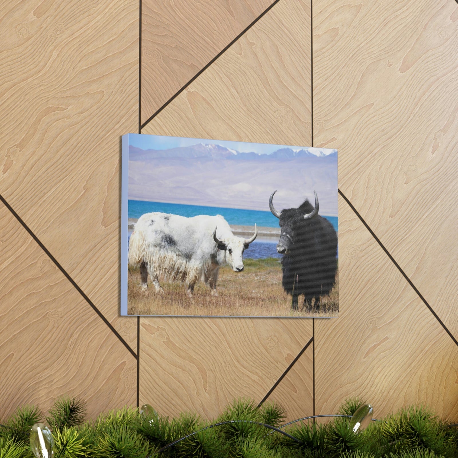 Scripture Walls Yak Couple Yak Couple Print Animal Wall Art Wildlife Canvas Prints Wall Art Ready to Hang Unframed-Express Your Love Gifts