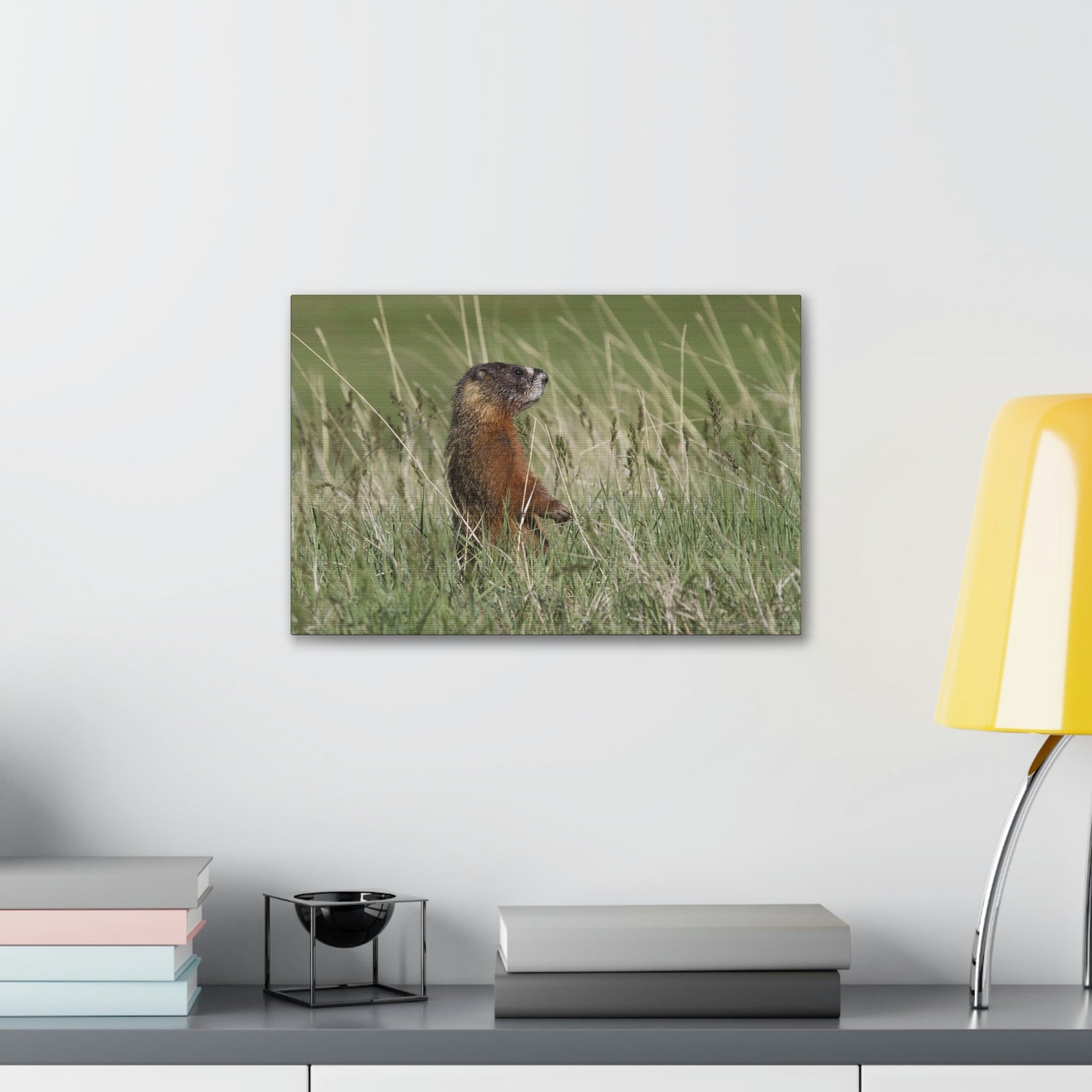 Scripture Walls Yellow Bellied Marmot Hunting Yellow Bellied Marmot on Hunt Print Animal Wall Art Wildlife Canvas Prints Wall Art Ready to Hang Unframed-Express Your Love Gifts