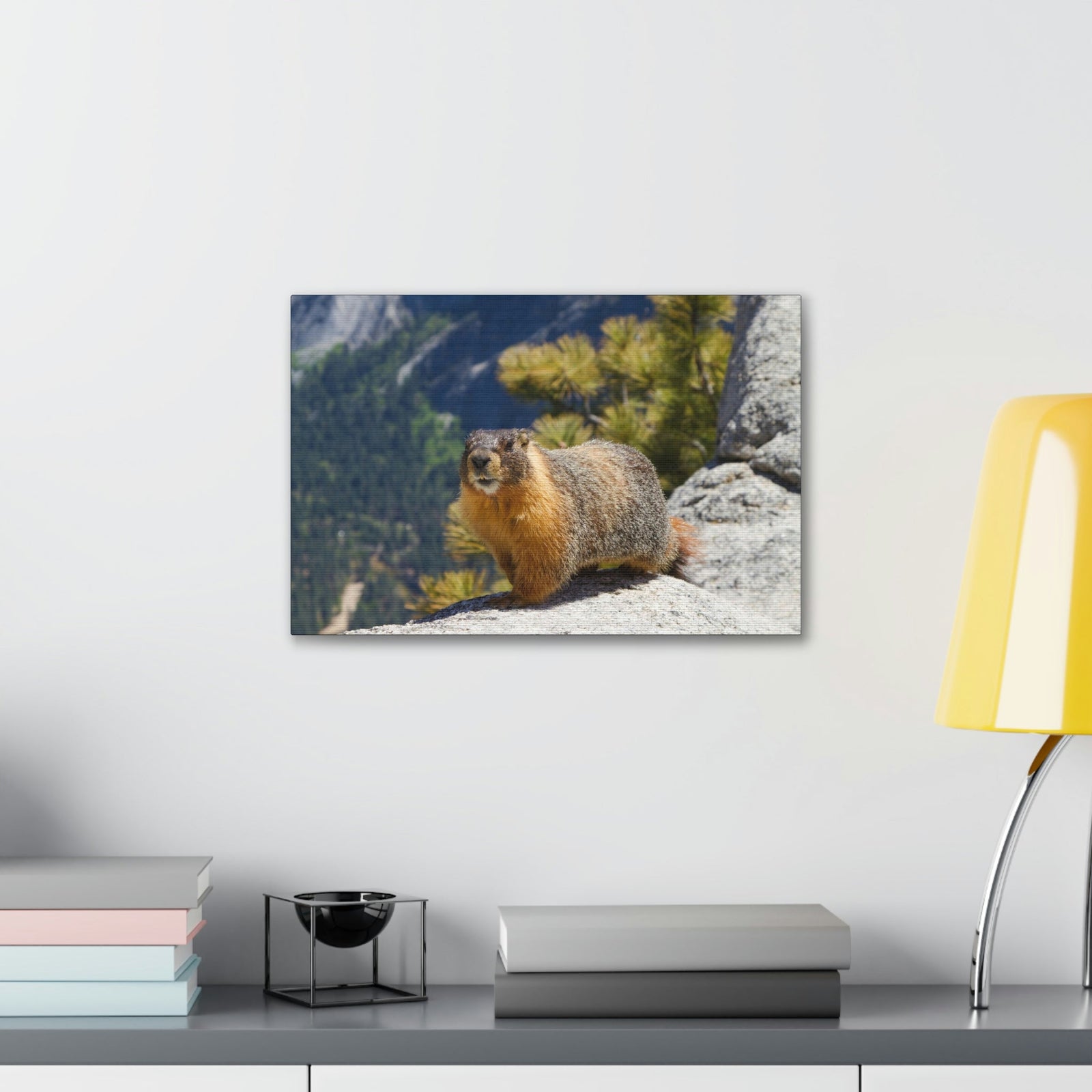 Scripture Walls Yellow Bellied Marmot on a Ridge Near Yosemite Falls Print Animal Wall Art Wildlife Canvas Prints Wall Art Ready to Hang Unframed-Express Your Love Gifts