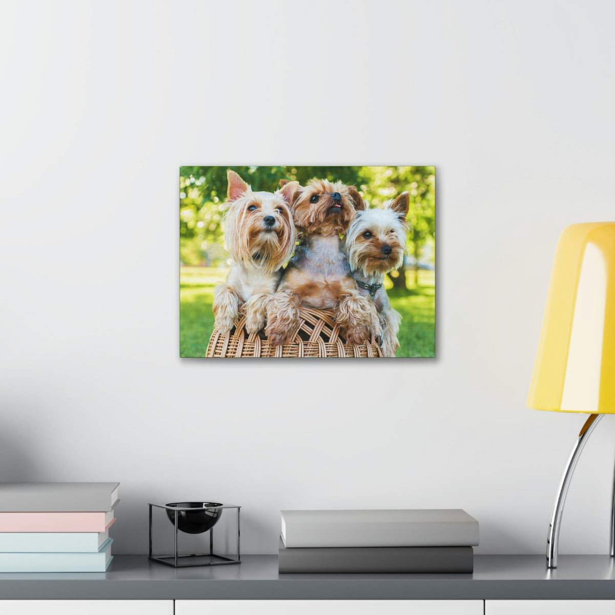 Scripture Walls Yorkshire Terrier Group Yorkshire Terrier Troop Print Animal Wall Art Wildlife Canvas Prints Wall Art Ready to Hang Unframed-Express Your Love Gifts