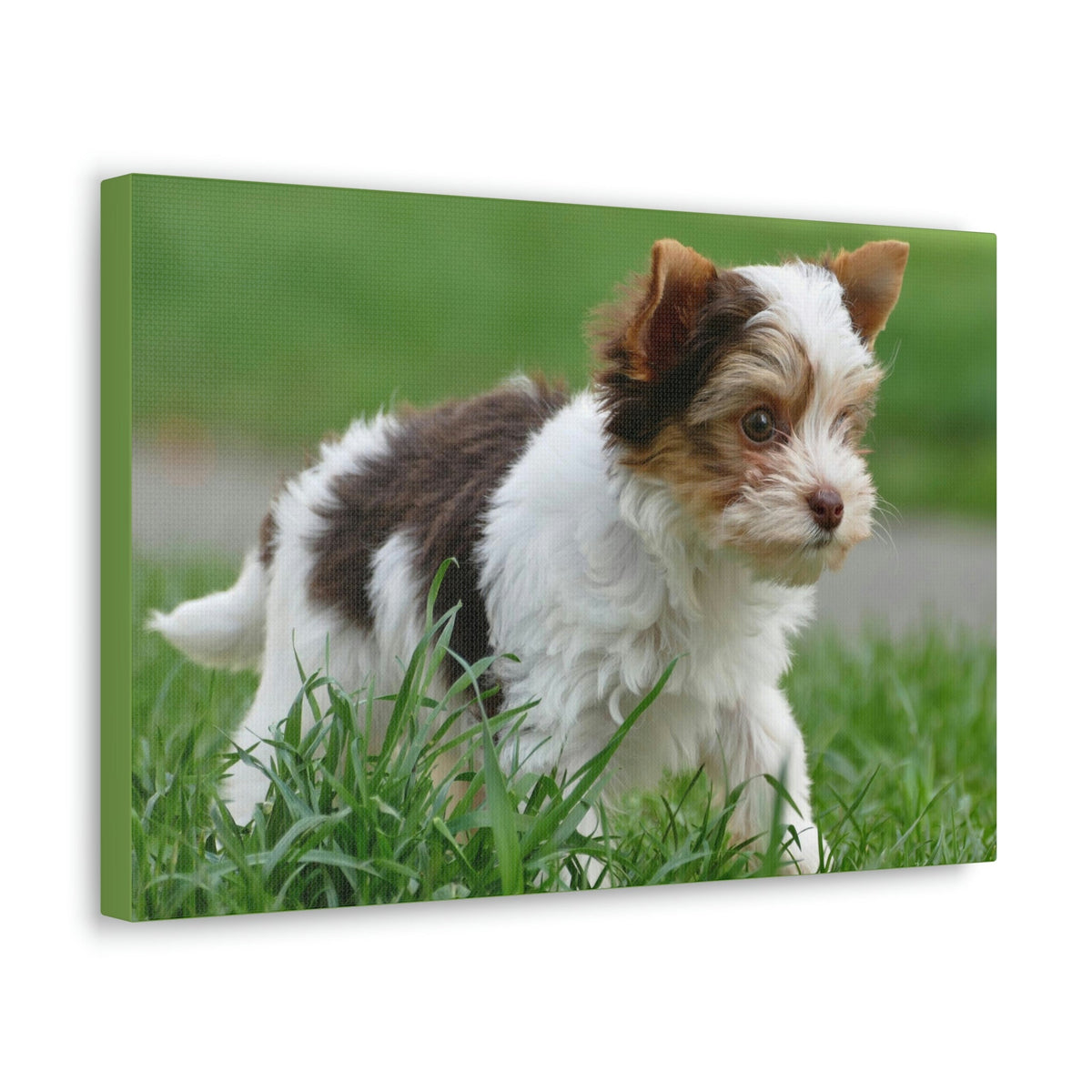 Scripture Walls Yorkshire Terrier Hunting Yorkshire Terrier on Hunt Print Animal Wall Art Wildlife Canvas Prints Wall Art Ready to Hang Unframed-Express Your Love Gifts