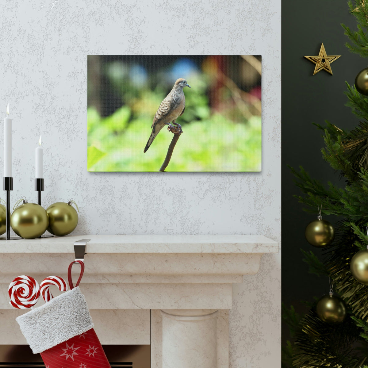 Scripture Walls Zebra Dove Perching on a Wood Print Animal Wall Art Wildlife Canvas Prints Wall Art Ready to Hang Unframed-Express Your Love Gifts