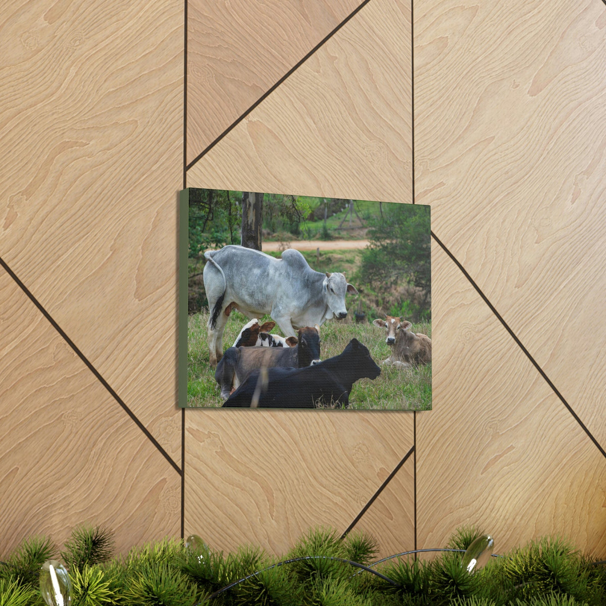 Scripture Walls Zebu Group Zebu Troop Print Animal Wall Art Wildlife Canvas Prints Wall Art Ready to Hang Unframed-Express Your Love Gifts